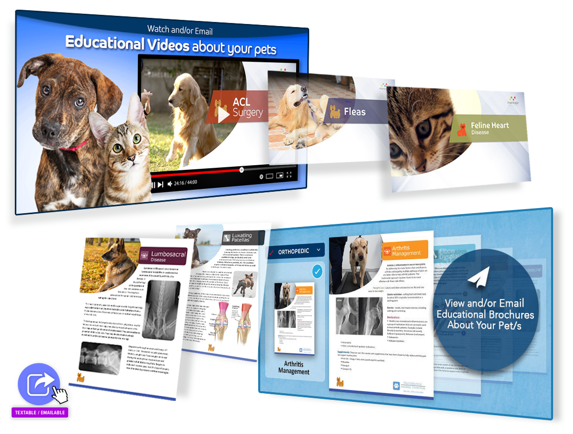 Client Education