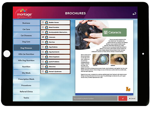 ipad-brochure.jpg