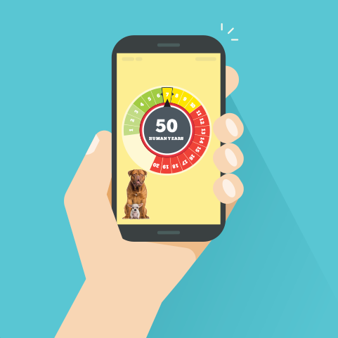 New Feature Hands Free